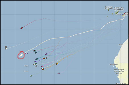 Skyelark's position vs. the rest of her class on Day 6
